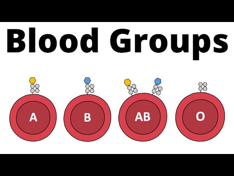 ABO Blood Group System (AB0 Blood types & compatibility explained)