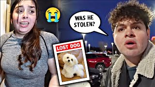 Steve Perez | In The Dark Of Night, My Dog Went Missing | Lucas and Marcus