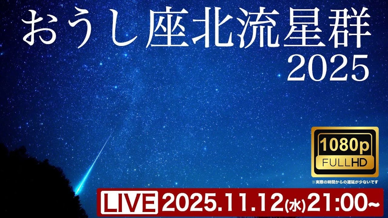 火球のチャンス】おうし座北流星群2025 ライブカメラ 岩手県大船渡市
