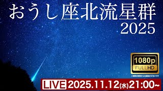 火球のチャンス】おうし座北流星群2025 ライブカメラ 岩手県大船渡市