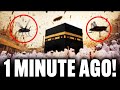 HUGE Insects INVADE Kaaba in Mecca and TERRIFIES Everybody!