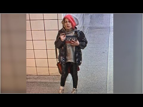 Police looking for suspect after woman pushed into path of oncoming subway in Toronto
