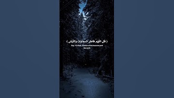 تلاوة هادئة للشيخ ماهر المعيقلي | سورة الزمر | الآية 45