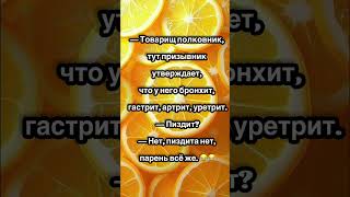 Призывник и полковник — диагноз точный! 😂 #юмор #анекдоты #шуточное #смех #приколы #юмор
