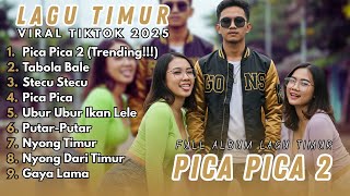 PICA PICA 2 - Jacson, Juan Reza | Faris Adam - STECU | PICA PICA || LAGU POP TIMUR VIRAL TIKTOK 2025