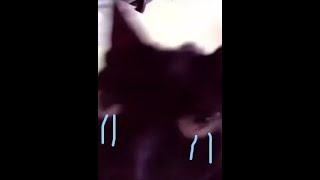 Dummy Universe Challenge 2