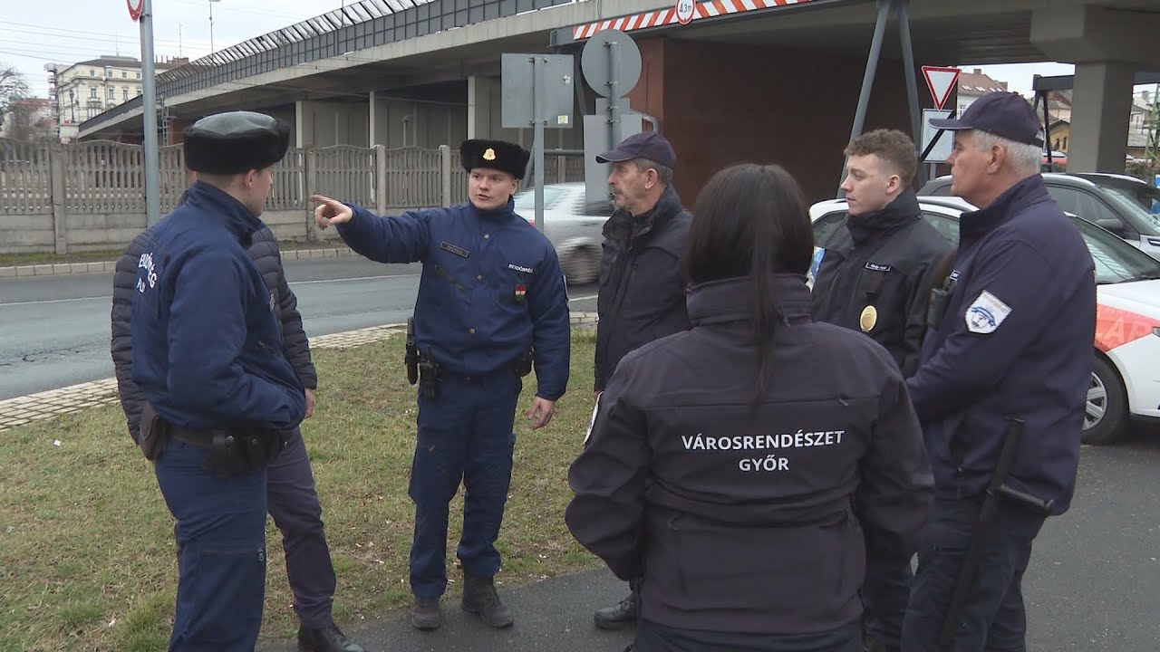 Közös ellenőrzés