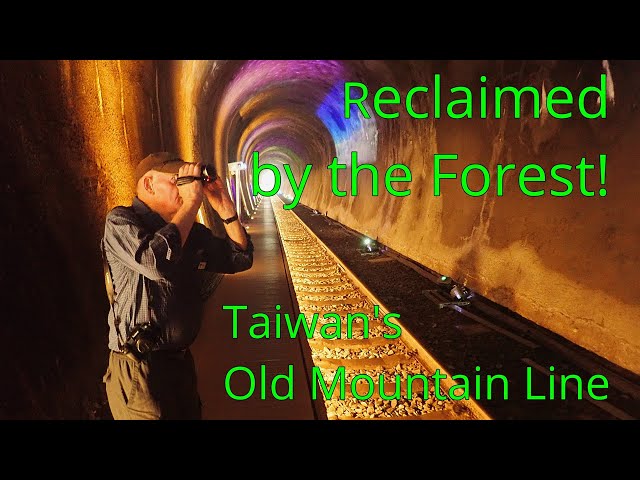 OLD MOUNTAIN 崇行 TO 昌平 Reclaimed by the Forest - Railway Adventures Taiwan: Day 2 and we