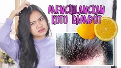 Dijamin Kutu Rambut Hilang! Ini Cara Menghilangkan Kutu Rambut Dengan Alami - Durasi: 5.16. 