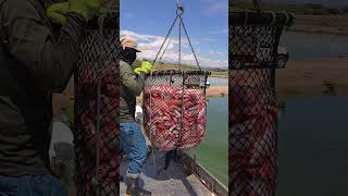 15 de octubre de 2025