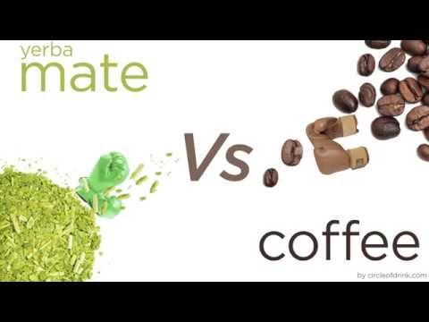 Yerba Mate vs Coffee