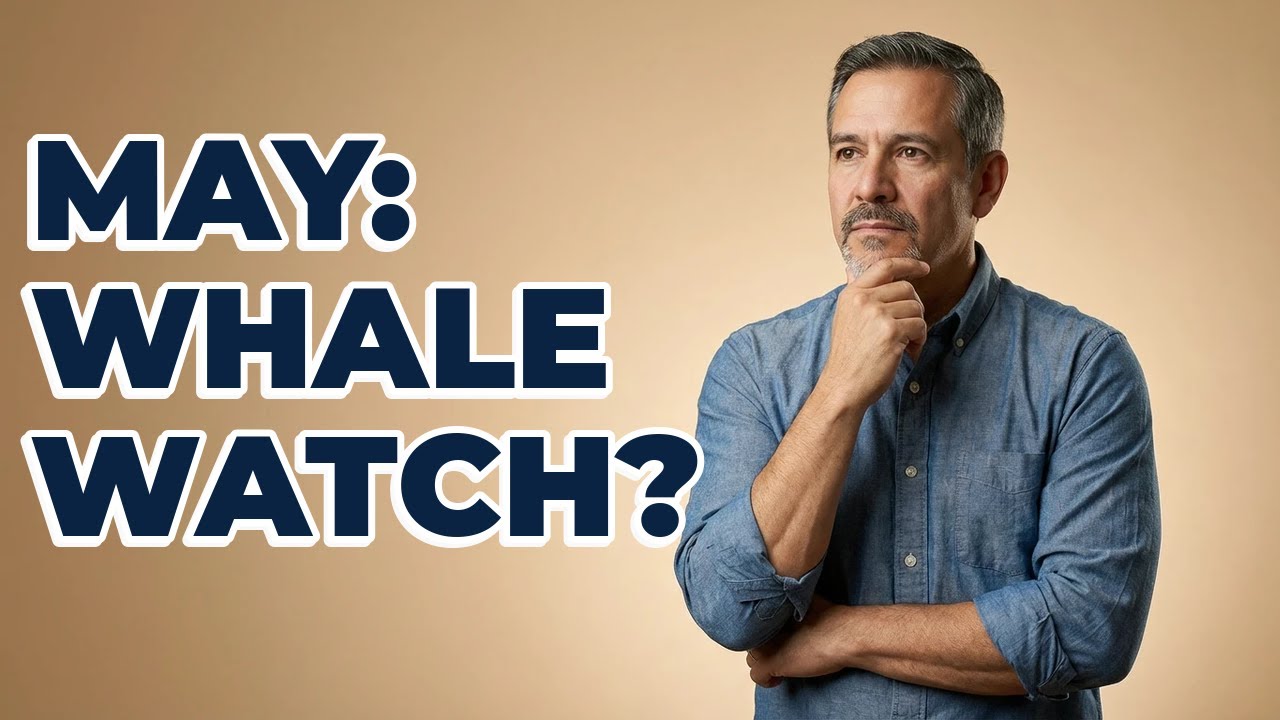 Is May Part Of San Diego's Whale Watching Season?