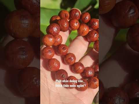 Video Vòng Tâm linh số 1 - youtube