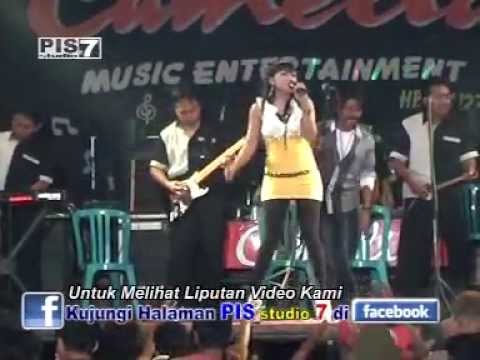 Cover Lagu SUTRADARA CINTA - AYU LESTARI @ CAMELIA Bawu