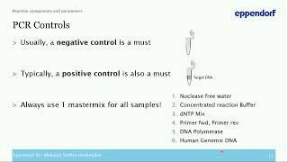 End-point PCR Set-up and Optimization: Best Practice screenshot 5