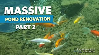 MASSIVE Spring-fed Koi Fish Pond Renovation: Part 2