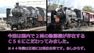 2両のC56動態機【大井川44号と京都鉄博160号機】