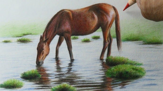 Cavalo Realista  Desenhos realistas, Raposas desenho, Desenho