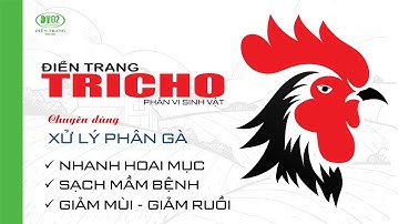 PHÂN VI SINH ĐIỀN TRANG  - TRICHO CHUYÊN XỬ LÝ PHÂN GÀ
