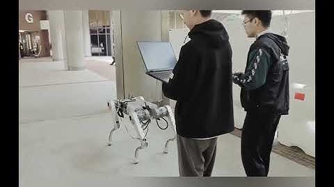 HK Polyu TAS Lab & LINXAI quadruped robot demo 