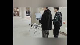 Hk Polyu Tas Lab Linxai Quadruped Robot Demo