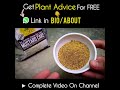Best Liquid Fertilizer For Flowering Plants!