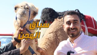 سباق الهجن في العريش بشمال سيناء