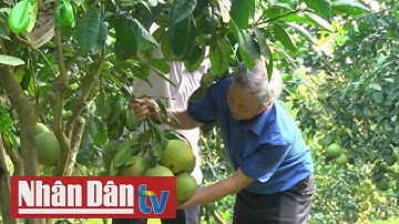 OCOP - Động lực xây dựng nông thôn mới tại Yên Bái