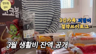 3인가족/외벌이/절약브이로그/3월 생활비 잔액 공개/압력밥솥 구입/두부강정 실패/김밥싸먹기