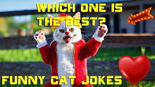 Funny cat jokes ❤ Hilarious Cat Jokes to Brighten Your Day!