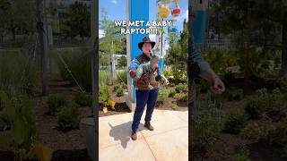 WE MET A BABY RAPTOR!