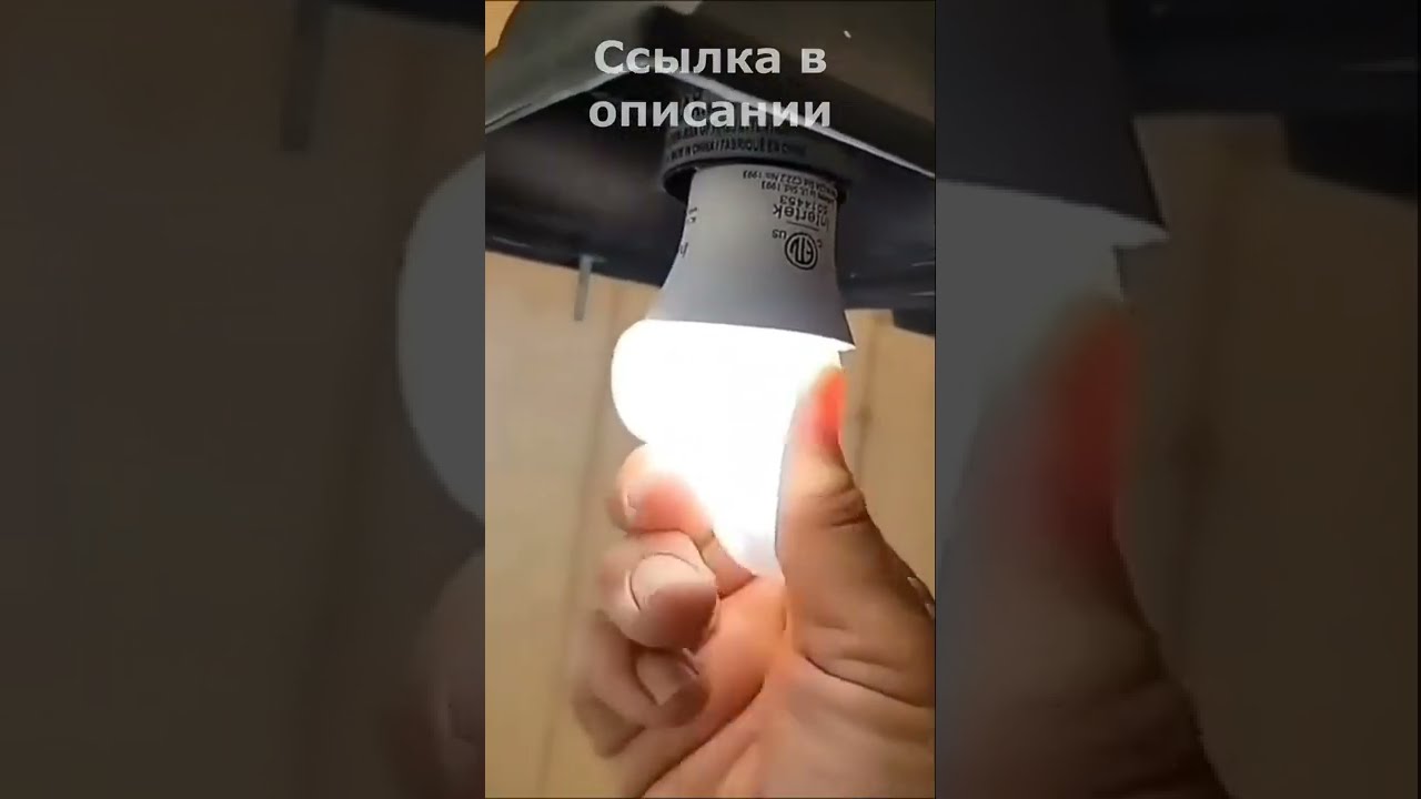 МЯГКАЯ ЛАМПОЧКА ЭТО ВОЗМОЖНО? / Лучшее с Aliexpress #shorts