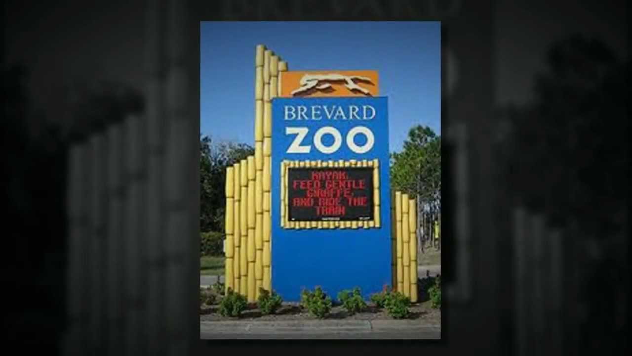 Family Lawyers Brevard County FL Titusville