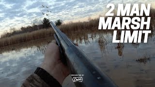 2 Man Marsh Hunt Puddle Duck Limit | WI Duck Hunting 2022