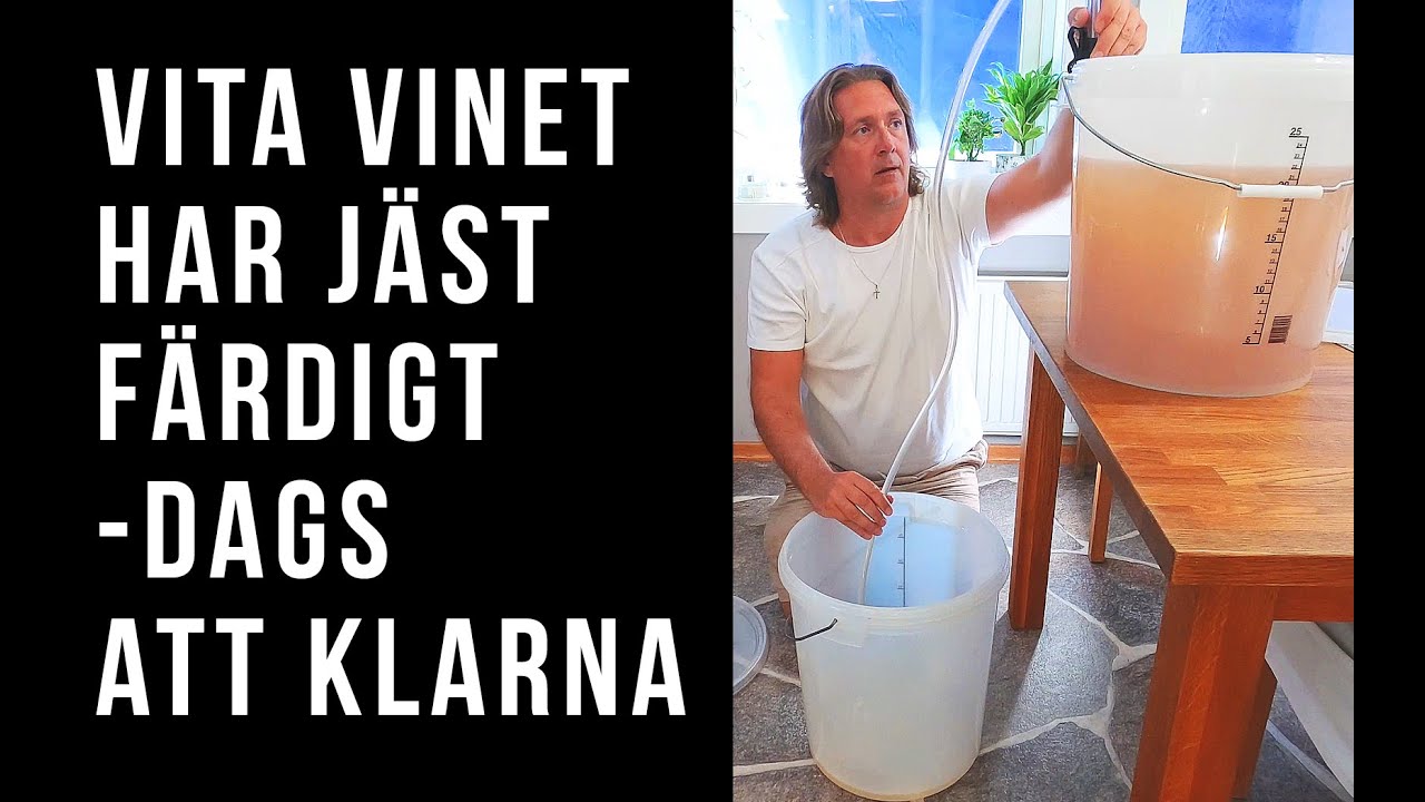 Vitt vin på vinsats, dags för klarning