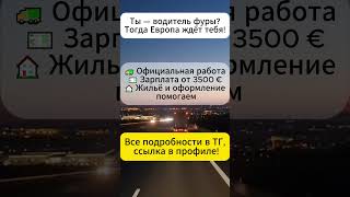 #работавевропе #разрешениенаработу #рф #automobile #трудоустройство #работа #рабочаяпоездка
