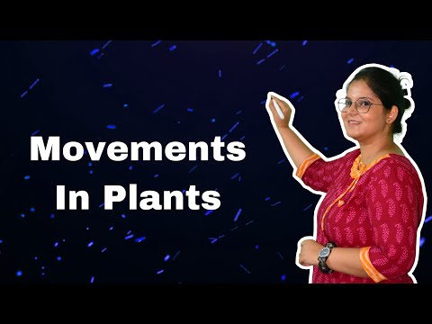 Movements in plants | Biology | Shreyashi Mam | CrackIt