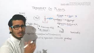 Long distance transport of water in plants.