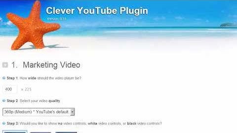 How To Embed Youtube Videos On A Wordpress Website