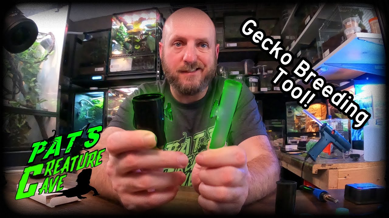 How To Make Gecko Egg laying Tubes, DIY Egg tubes for Breeding Geckos