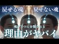 日本の闇※BANの可能性あり,でも話します。あなたの魂を座席に戻すための“本当の方法”もお伝え