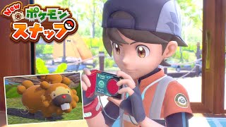 このビッパがなぜ高得点なのかが理解できません 【New ポケモンスナップ】1