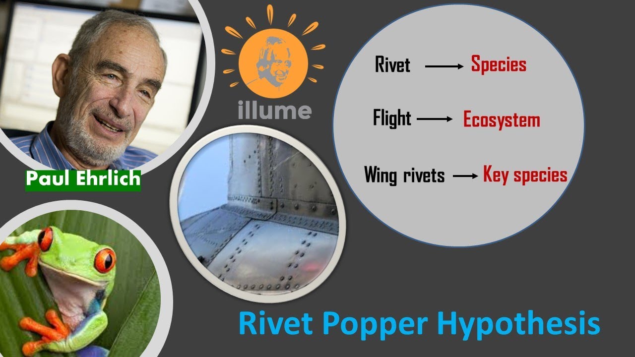 rivet popper hypothesis class 12