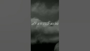 استغفر الله العظيم واتوب اليه. القارئ #ياسر_الدوسري ،سورة آل عمران. #القرآن #القرآن_الكريم #quran