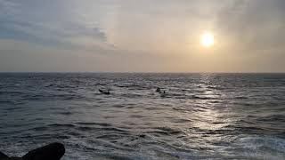 Beach Boats Moving Peaceful Video