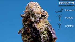 Lemon Kush | Dewit Cannabis Review