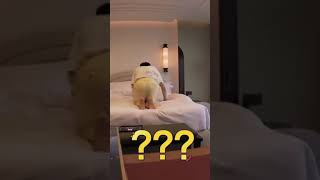 Park Jimin What Are You Doing? Army What Are You Looking At?