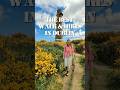 Best Dublin Walks and Hikes Accessible by Public Transport, A Local’s Guide #dublin #ireland