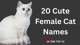 20 Cute Female Cat Names | ESB TOP 10 #catnames #femalecat