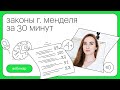 Законы Г. Менделя за 30 минут | Биология с Альбиной Амировой